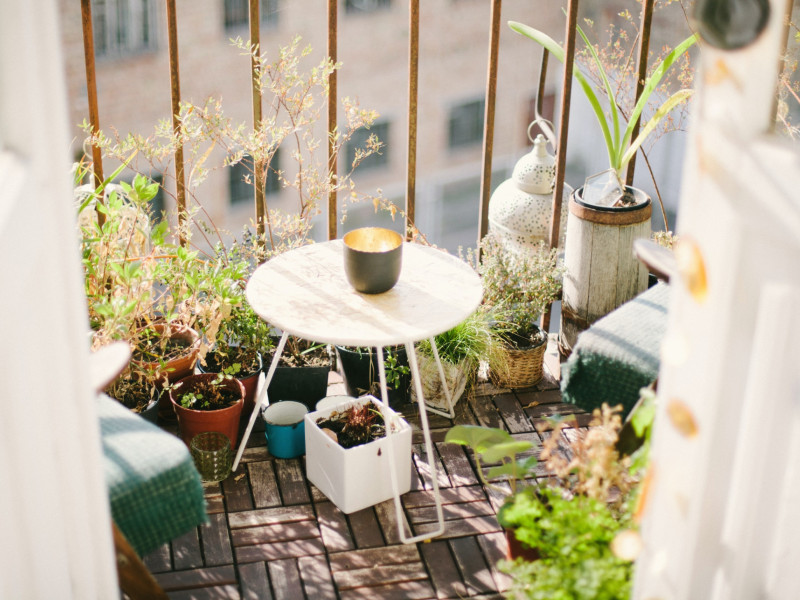 Herbs in Your Balcony Garden