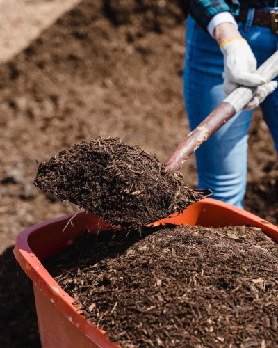 How to Make Compost to Feed Your Plants