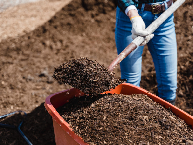 How to Make Compost to Feed Your Plants