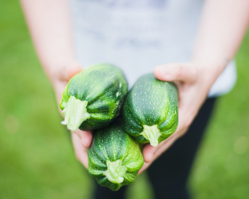 How to Start an Organic Vegetable Garden