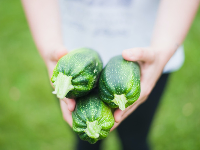 How to Start an Organic Vegetable Garden