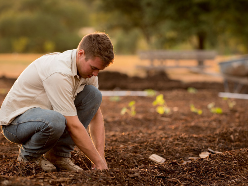 Soil for Successful Gardening