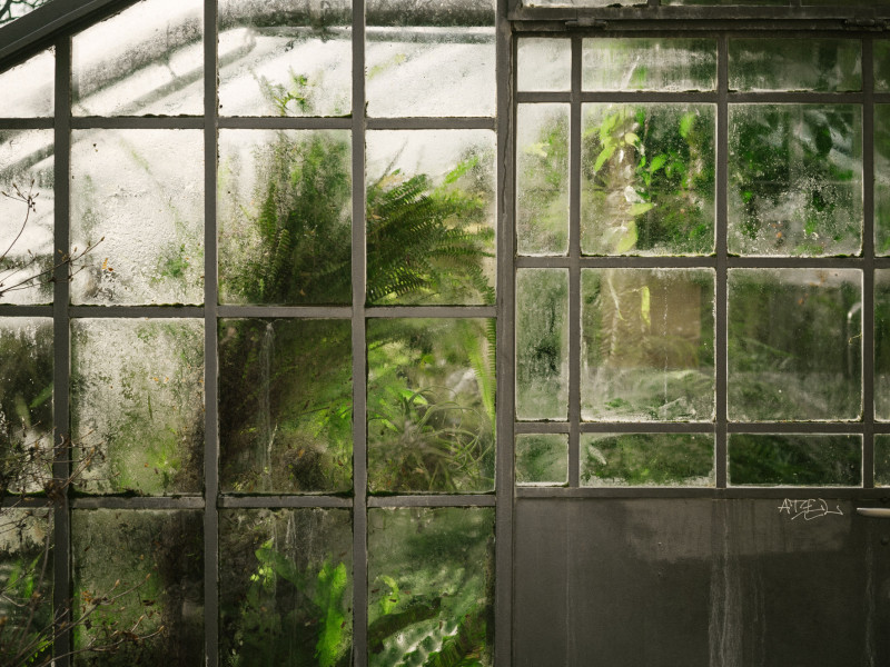 Ways To Reduce Moisture Levels In Your Greenhouse